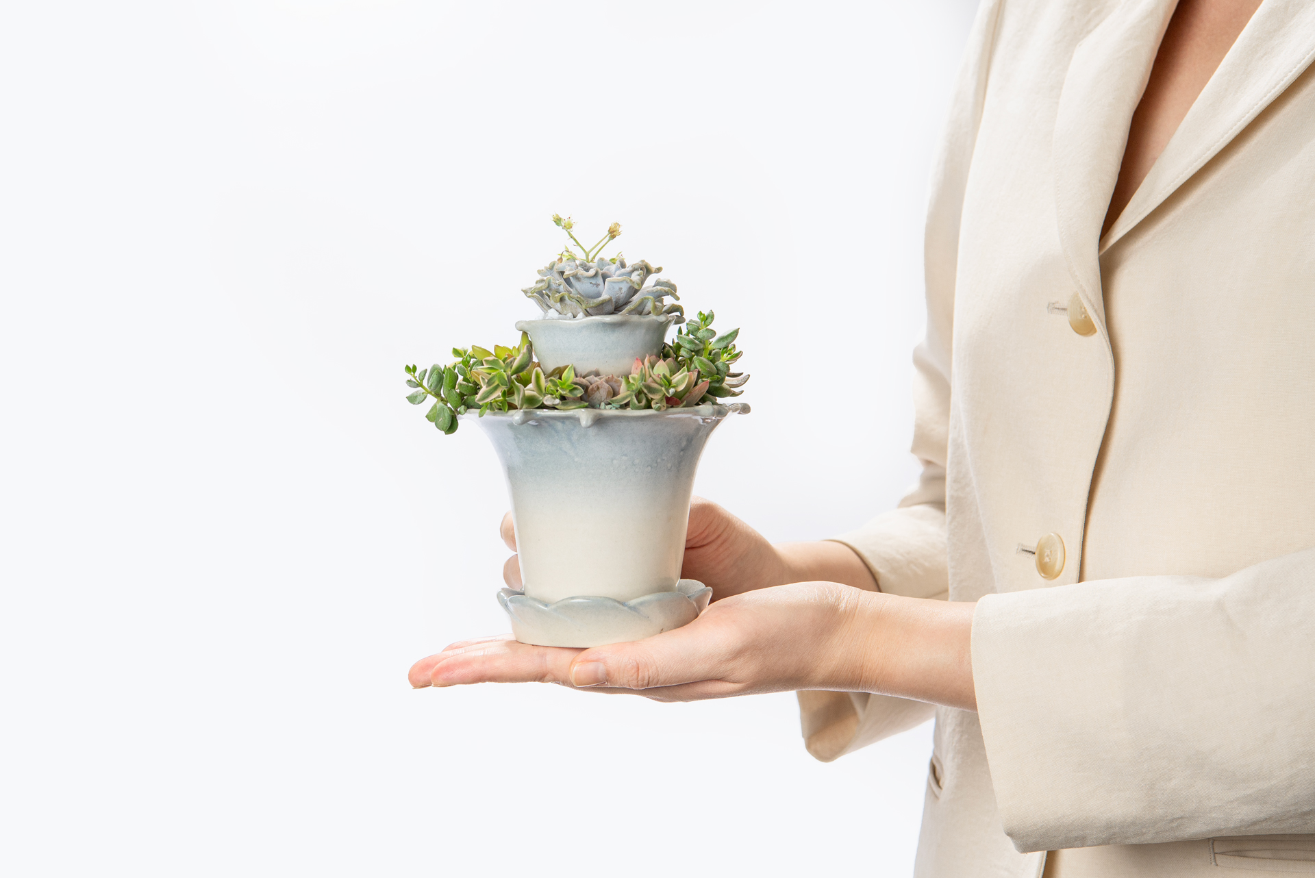 哪裡買陶盆?8 款高品質台灣陶盆!獨立製陶師作品 7 開幕送禮台灣盆器