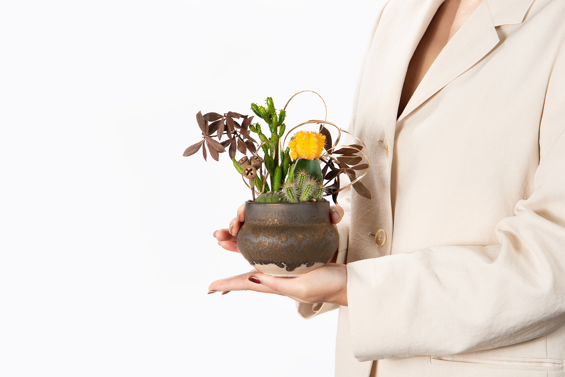 哪裡買陶盆?8 款高品質台灣陶盆!獨立製陶師作品 3 古樸之森_土口_手捧盆栽