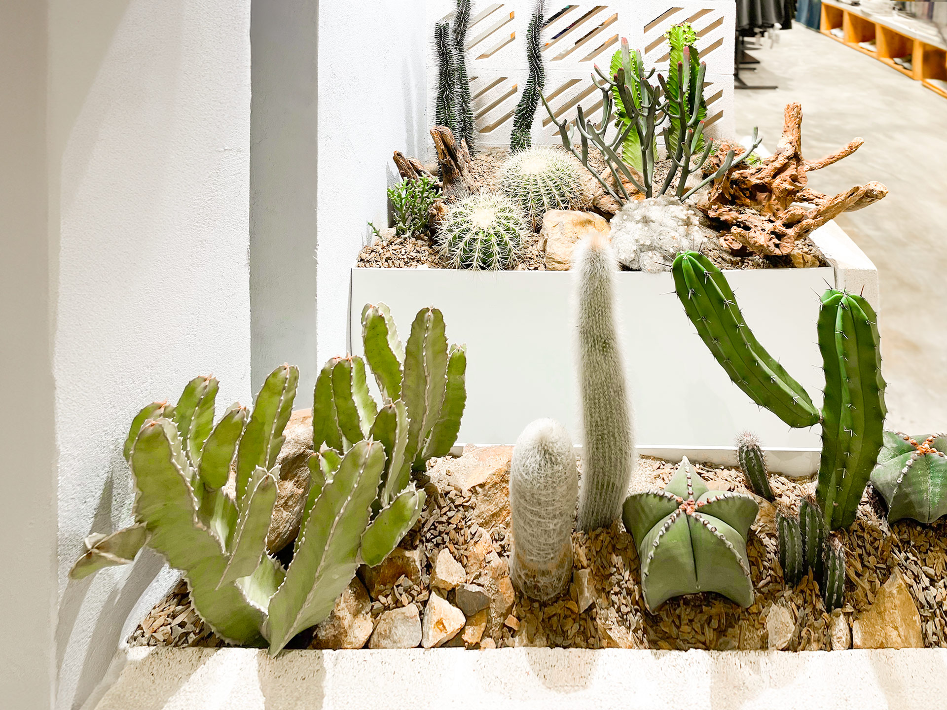 創意員工福利提案:以綠植與舒壓活動提升幸福感 16 台中lalaport有肉造景主要面向