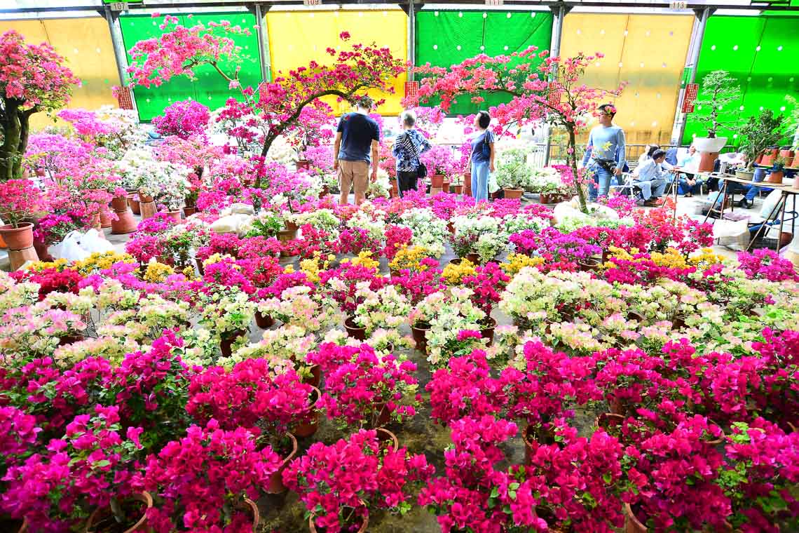 台北六大花市介紹-建國花市