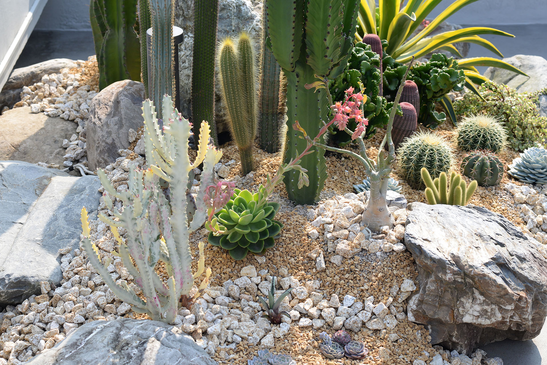 增加環境綠化,從陽台空間做起