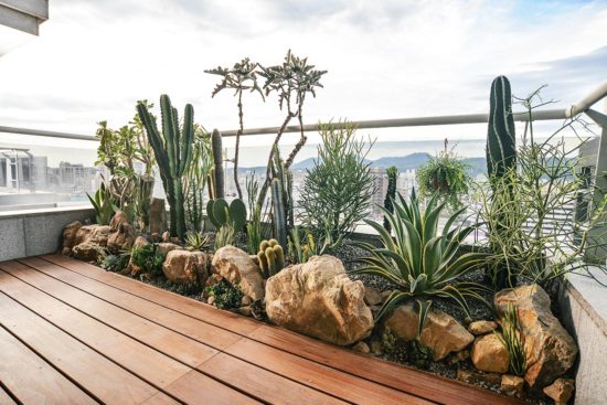 理解自家環境的方式 - 陽台造景 理解自家環境的方式 - 陽台造景