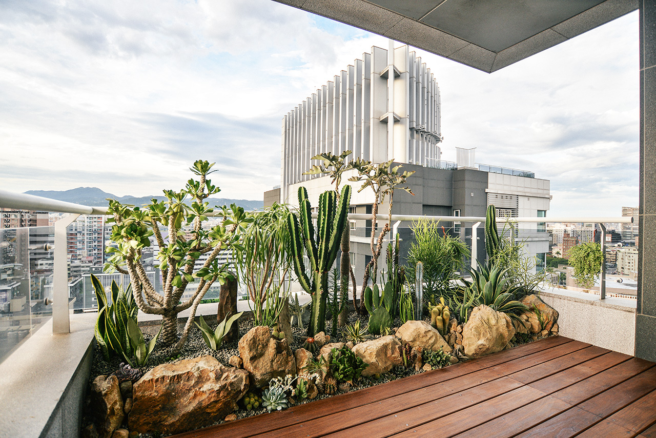 台北陽台沙漠造景案例-30