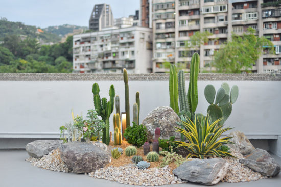 迎賓入口植物造景