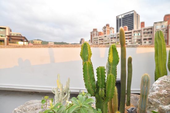 日落植物景觀 日落植物景觀