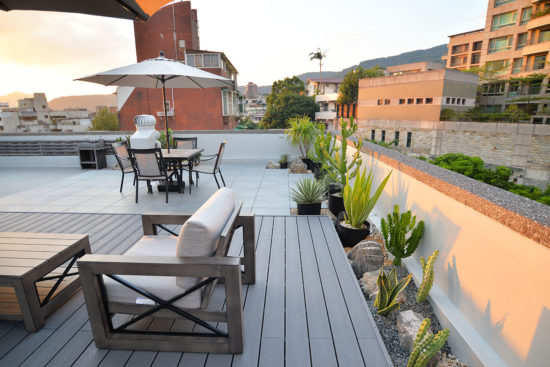 多肉植物造景設計 多肉植物造景設計