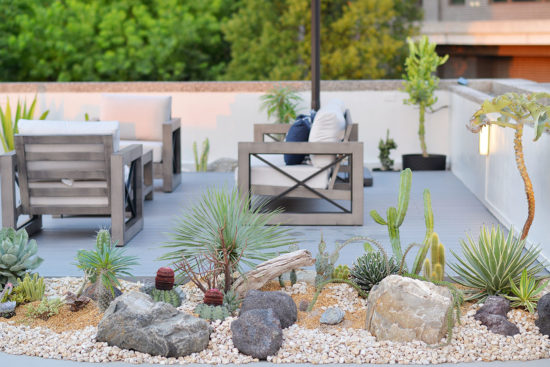 多種植物混合造景