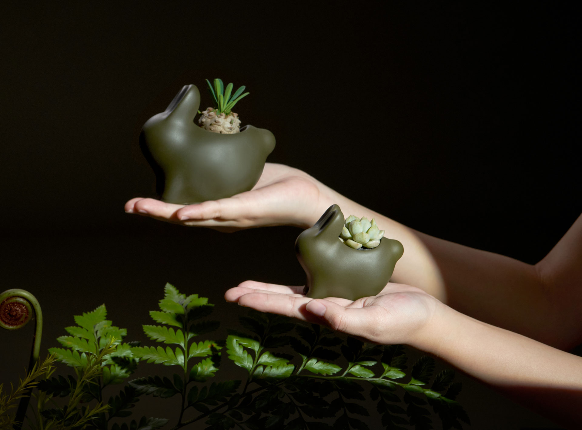 中秋過節也能感受永續自然!有肉 X 山木島,森林系中秋禮盒火熱預購中! 3 售後顧問