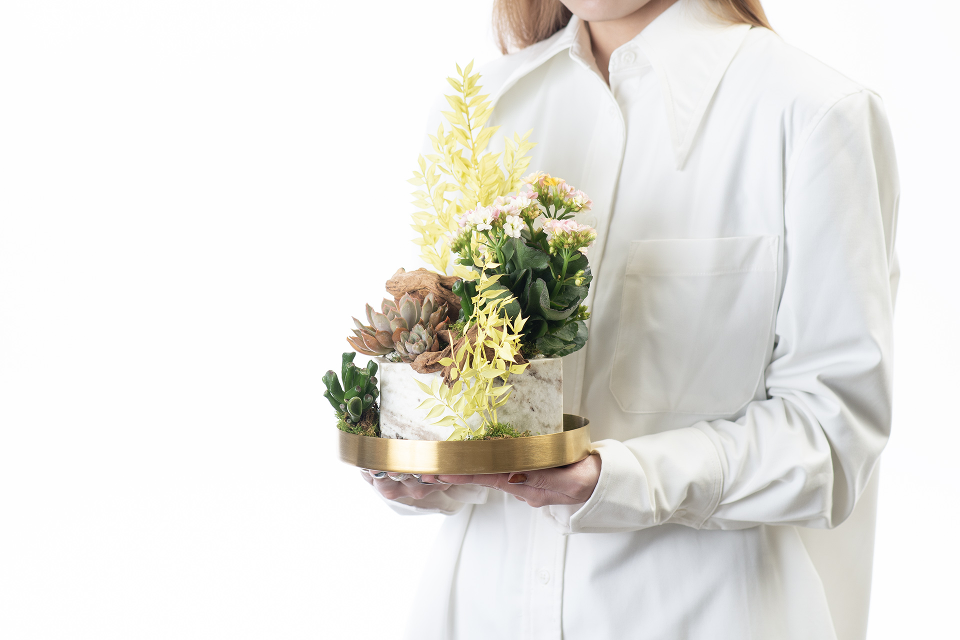 40+ 句換新工作的祝福語(成語 聖經金句 佛家語錄 英文 日文) 10 金黃色開幕盆栽