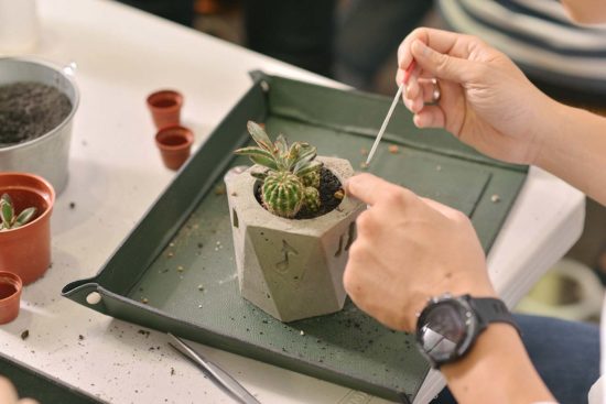 植栽種植 植栽種植