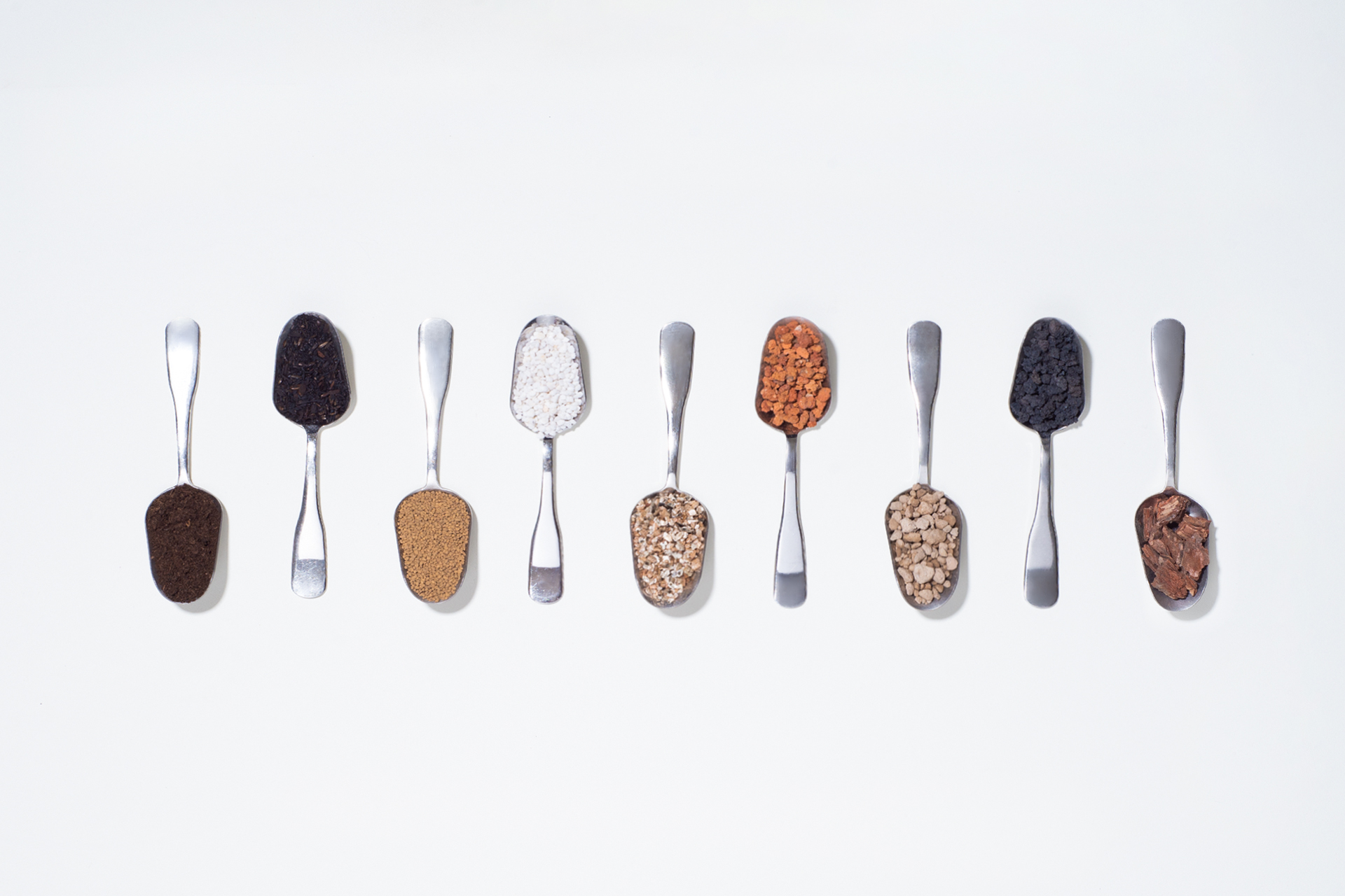 【完整教學】植物照顧終極指南 向黑手指說掰掰 5 【完整教學】植物照顧終極指南 向黑手指說掰掰 多肉專用土:室內土3 1