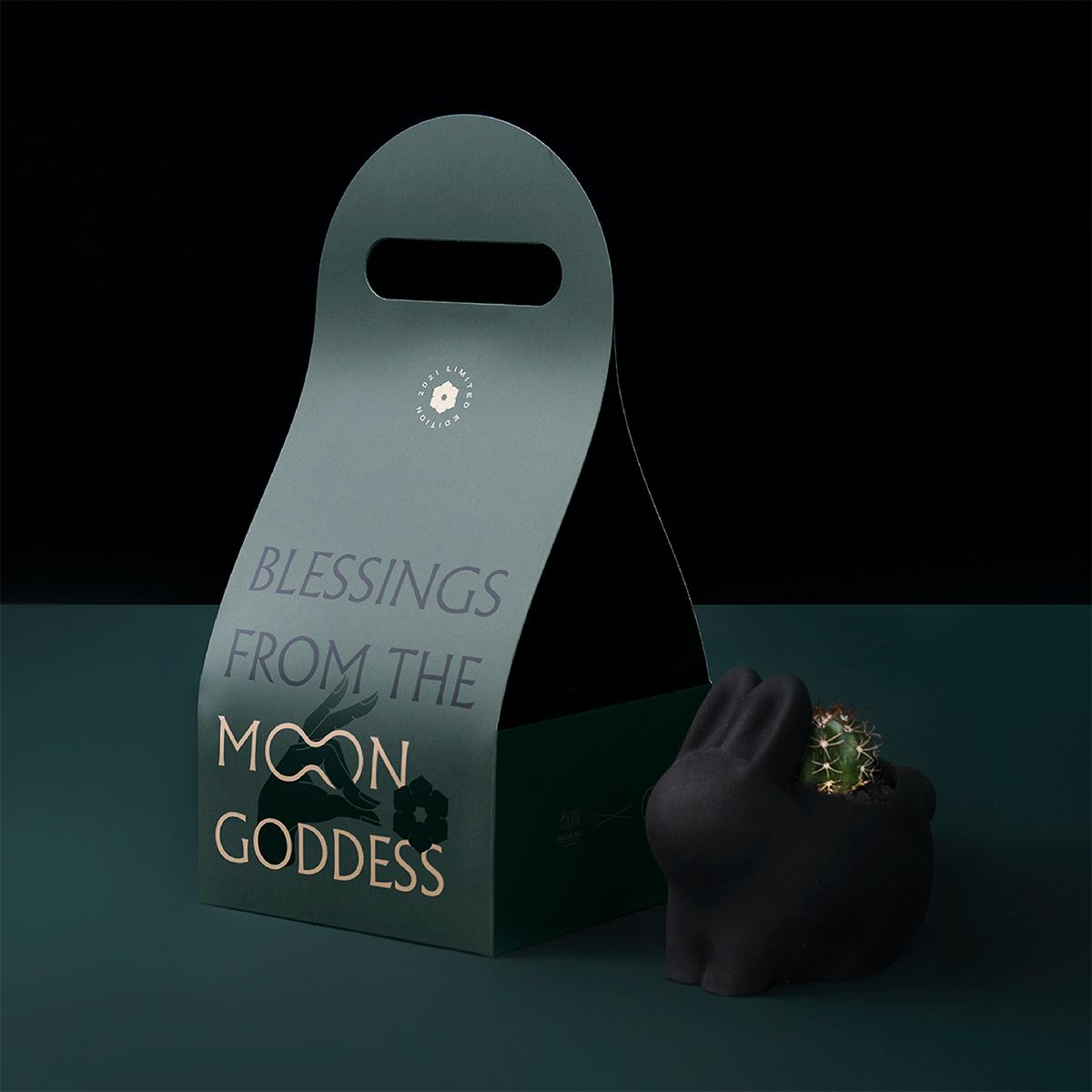 2021 年中秋植物禮盒 6 2021 年中秋植物禮盒 多肉禮盒 外提袋 11