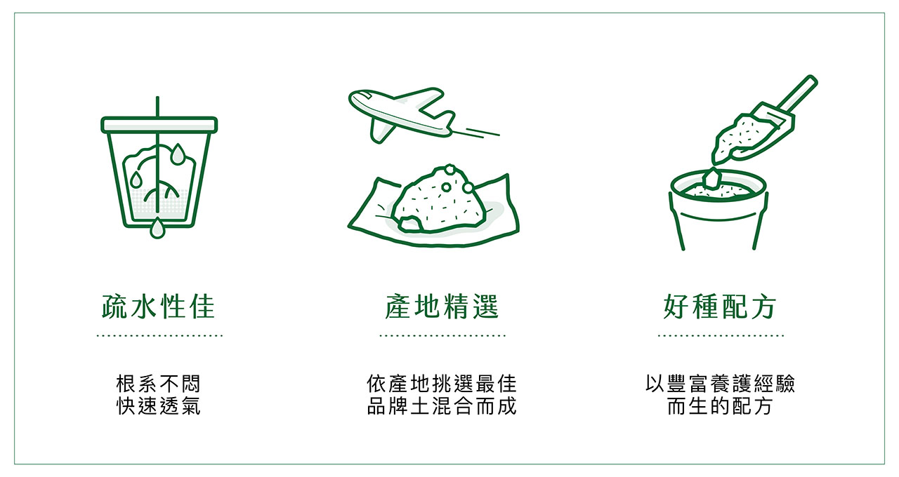 多肉種植土頁面