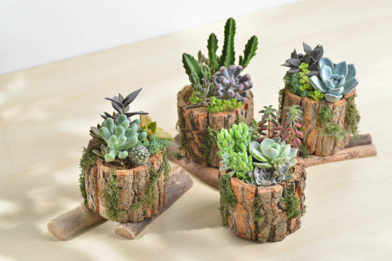 天空之城課程 天空之城課程