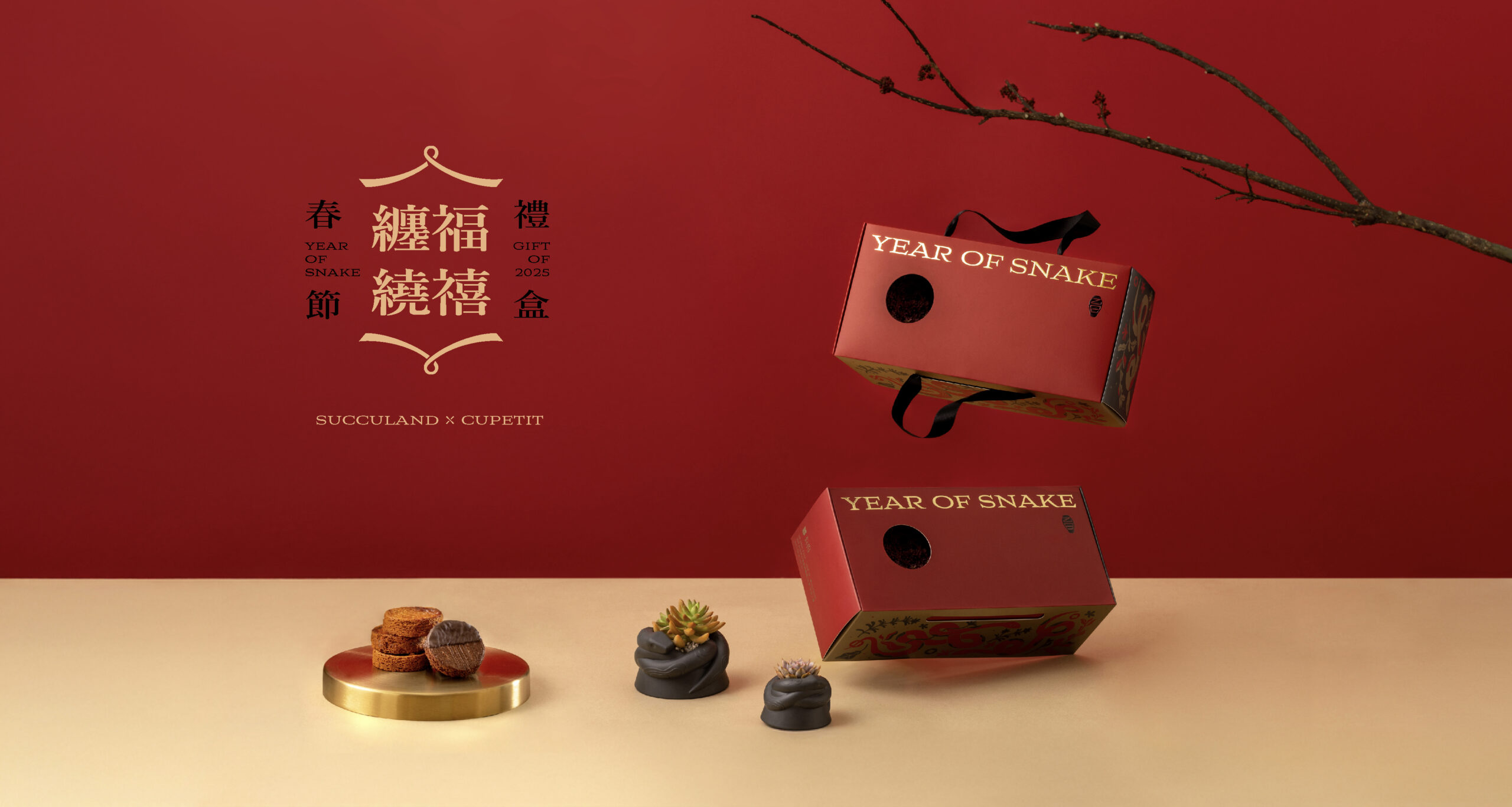 2025 春節禮盒送福蛇!造型植栽滿春意 8 2025 春節禮盒長型banner