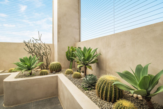 陽台植物佈置造景 - 宜蘭謝公館 1 陽台植物佈置造景 - 宜蘭謝公館 宜蘭多肉植物陽台造景一週後 24