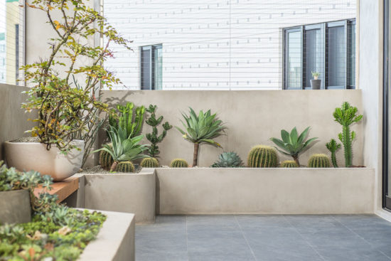 陽台植物造景佈置 陽台植物造景佈置