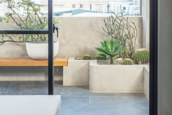 【完整教學】植物照顧終極指南 向黑手指說掰掰 9 窗外植物造景佈置