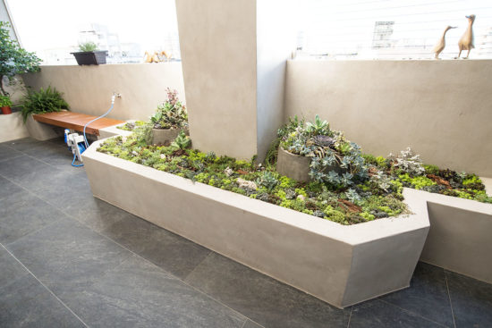 清水模植物造景 清水模植物造景