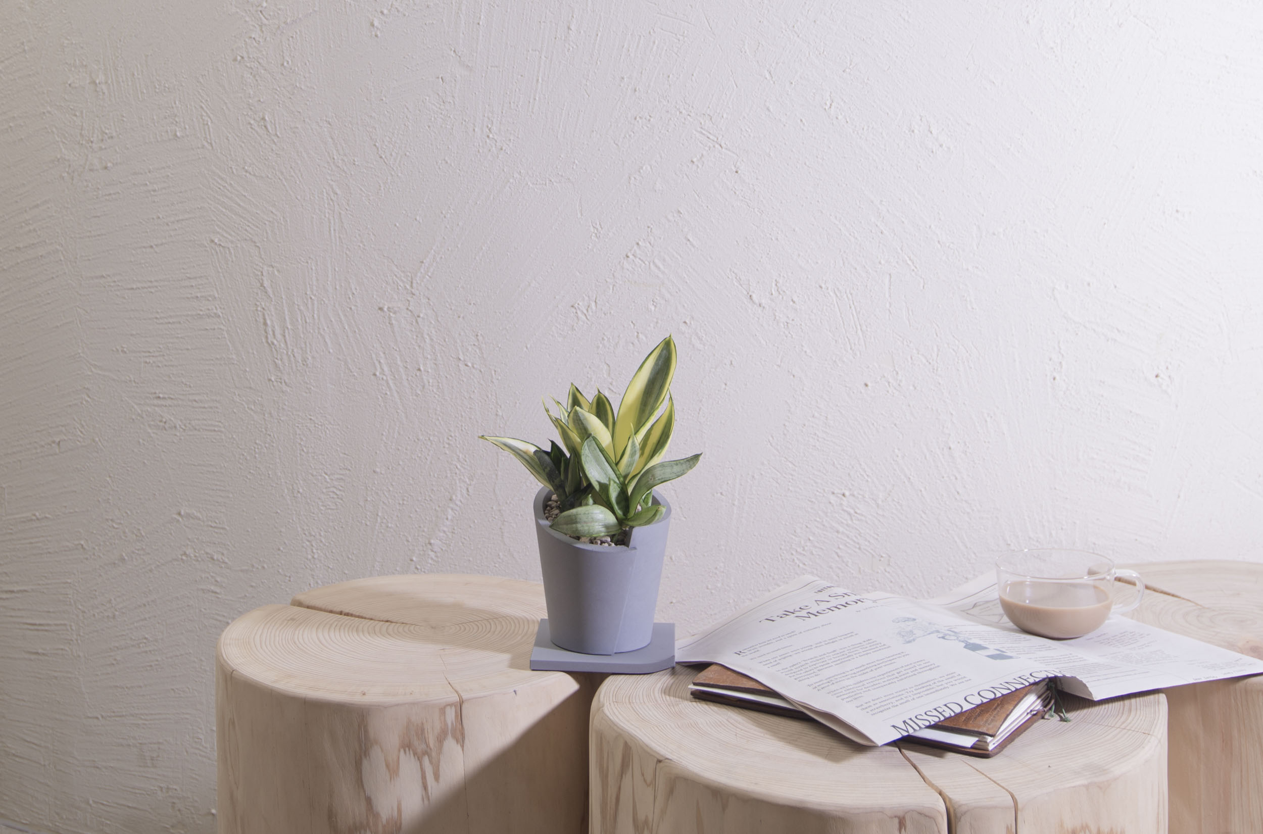 祝賀展覽順利 盆栽花籃怎麼挑選好? 8 祝賀展覽順利 盆栽花籃怎麼挑選好? 室內種植也沒問題的虎尾蘭盆栽0