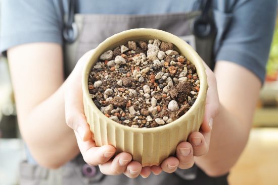 介質與盆器 介質與盆器
