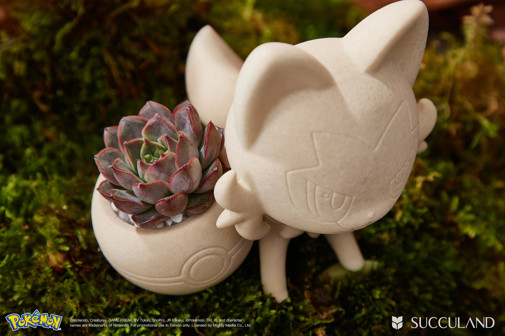 貓奴看過來!一次了解新葉喵的 8 個秘密,結尾加碼最新藏 4 寶可夢植栽與有肉SUCCULAND-新葉喵ニャオハ Sprigatito俯視植物