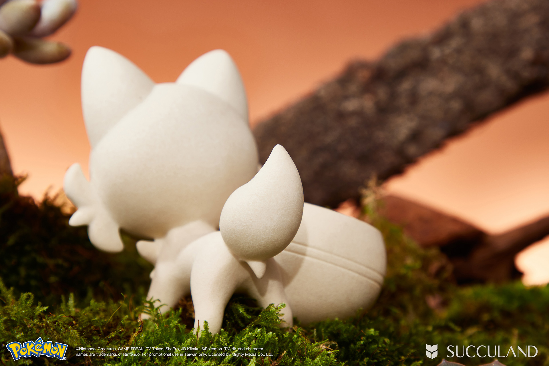 貓奴看過來!一次了解新葉喵的 8 個秘密,結尾加碼最新藏 8 寶可夢植栽與有肉SUCCULAND-新葉喵ニャオハ Sprigatito尾巴細節