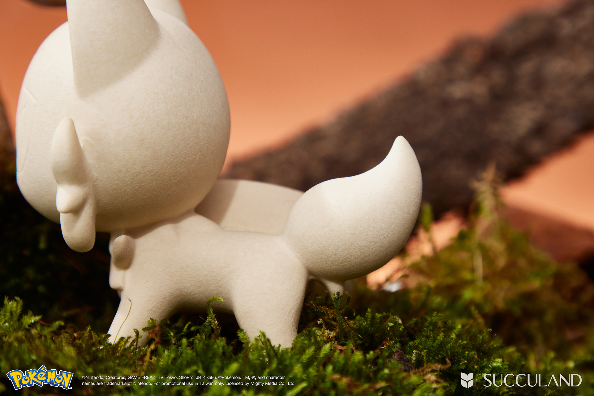 貓奴看過來!一次了解新葉喵的 8 個秘密,結尾加碼最新藏 3 寶可夢植栽與有肉SUCCULAND-新葉喵ニャオハ Sprigatito尾巴