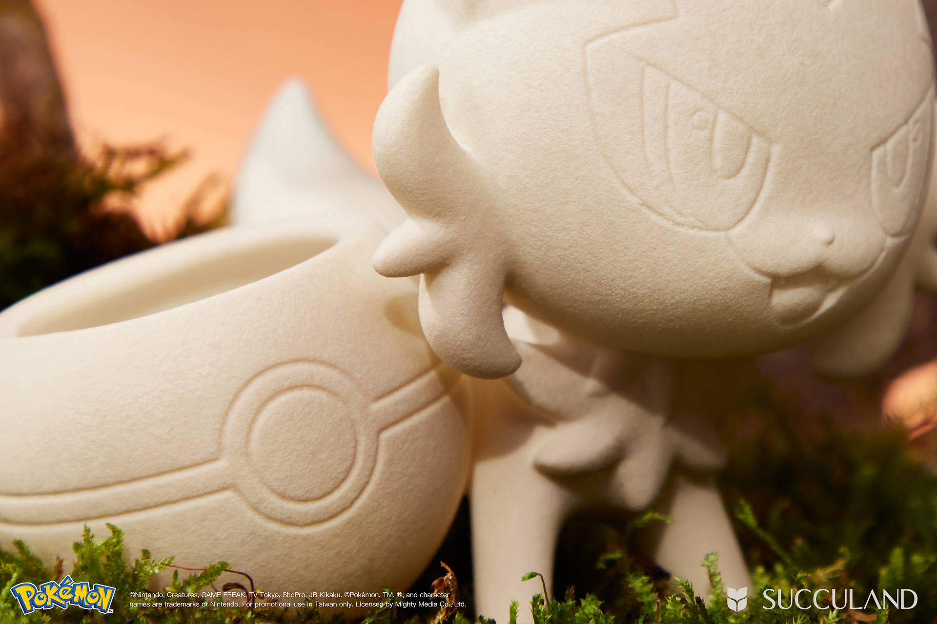 貓奴看過來!一次了解新葉喵的 8 個秘密,結尾加碼最新藏 2 寶可夢植栽與有肉SUCCULAND-新葉喵ニャオハ Sprigatito細節特寫
