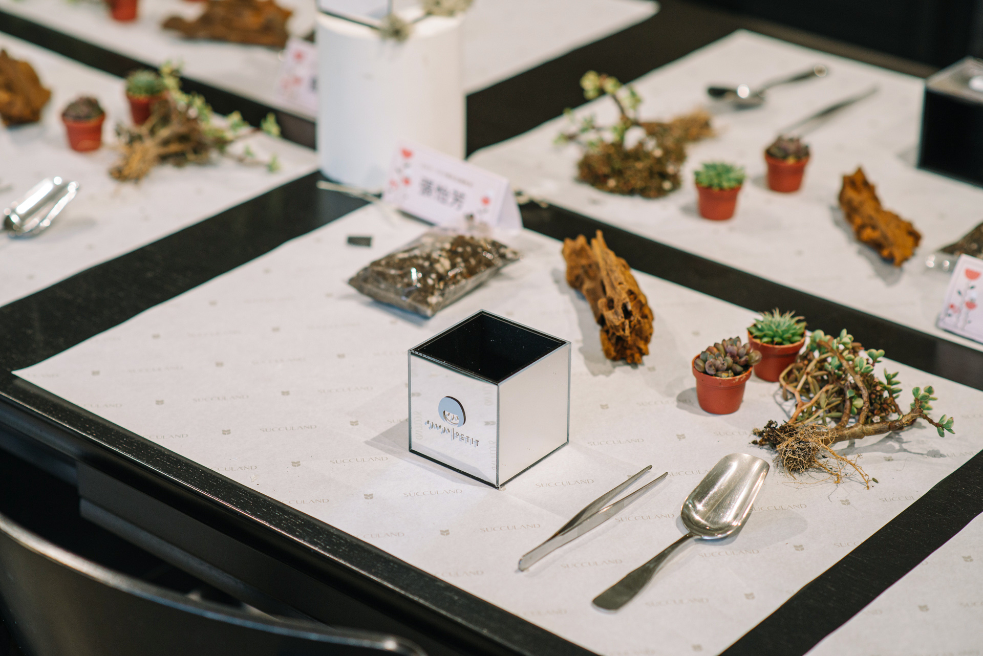 小小 PETIT 新品發表會:春日手作體驗 in 有肉 SUCCULAND 5 結合作品