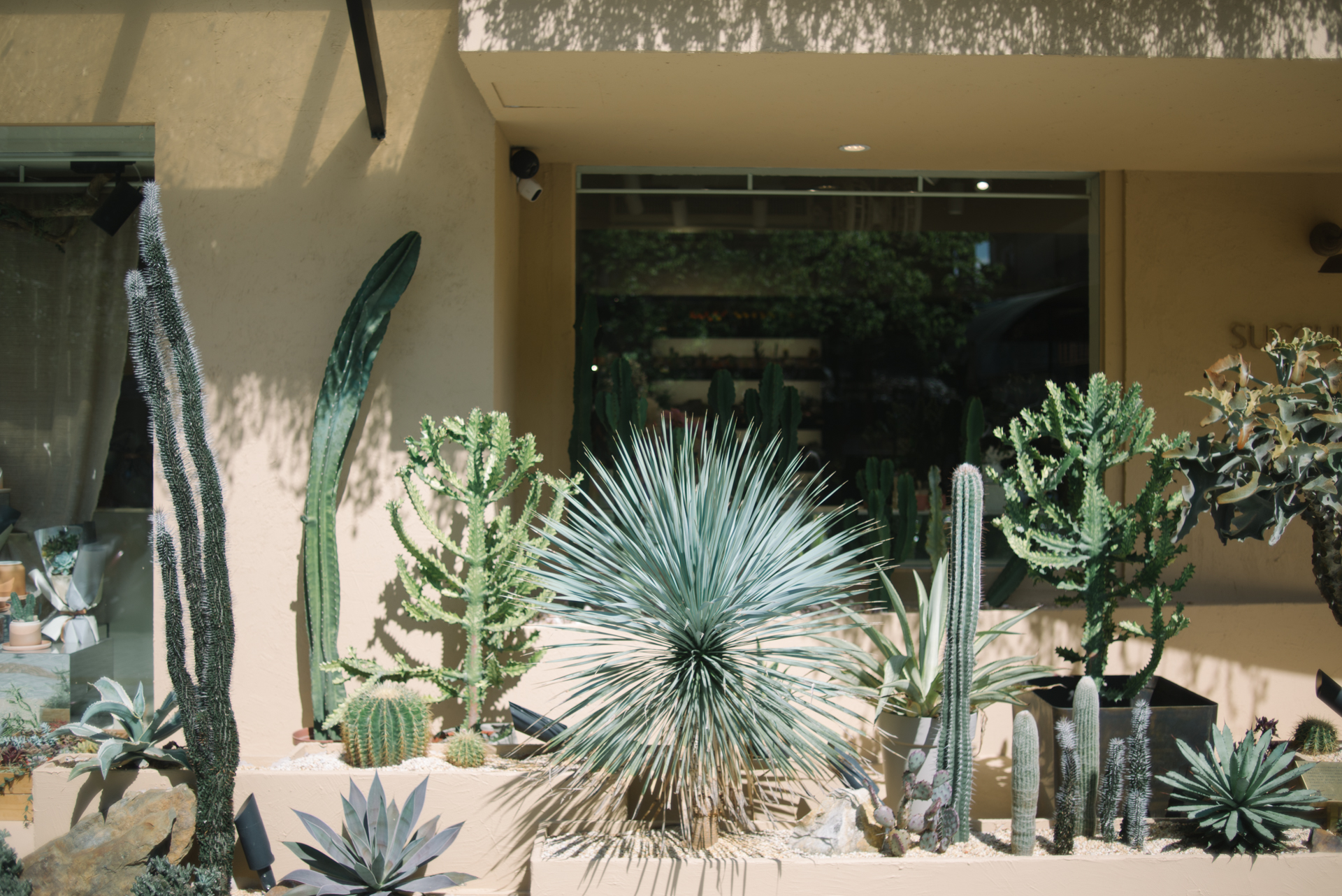 小小 PETIT 新品發表會:春日手作體驗 in 有肉 SUCCULAND 3 店門口造景