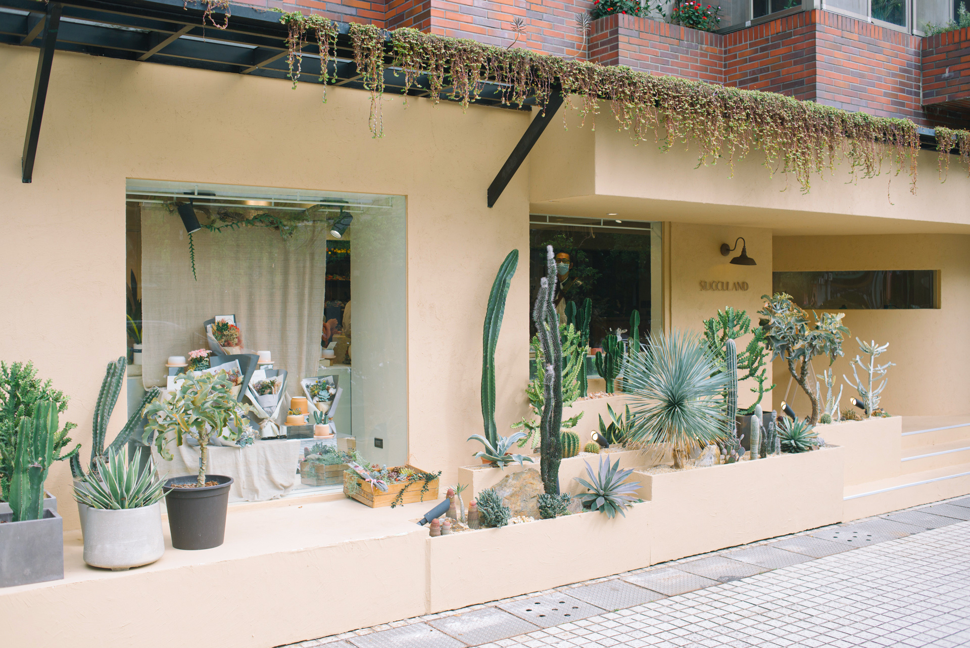 小小 PETIT 新品發表會:春日手作體驗 in 有肉 SUCCULAND 2 活動場地品牌