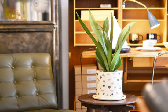 室內植物種植也需要通風 室內植物種植也需要通風