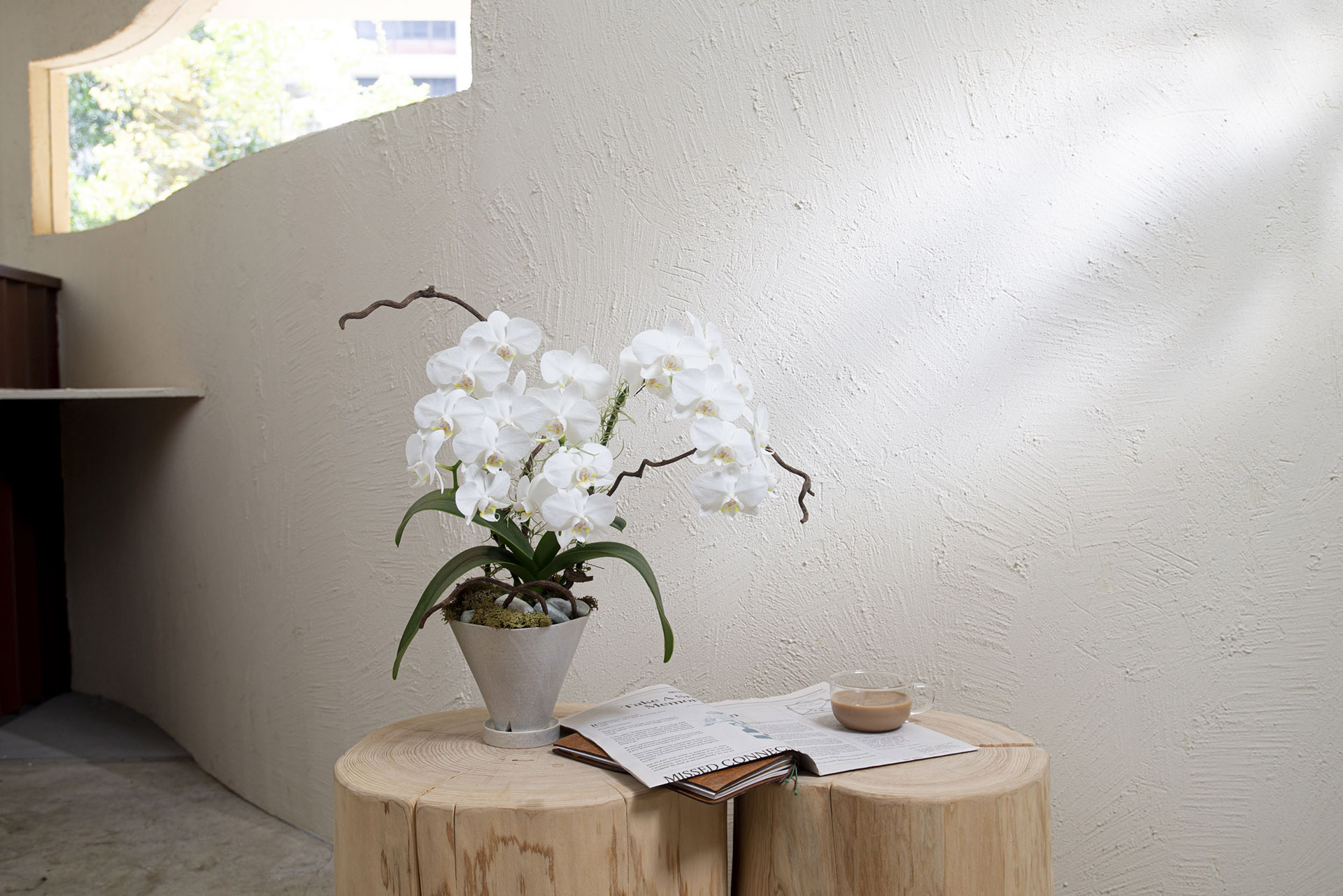 朋友生日禮物送什麼? 珍貴的心意 以植為禮 11 德安鍾存 白色典雅蘭花盆栽0