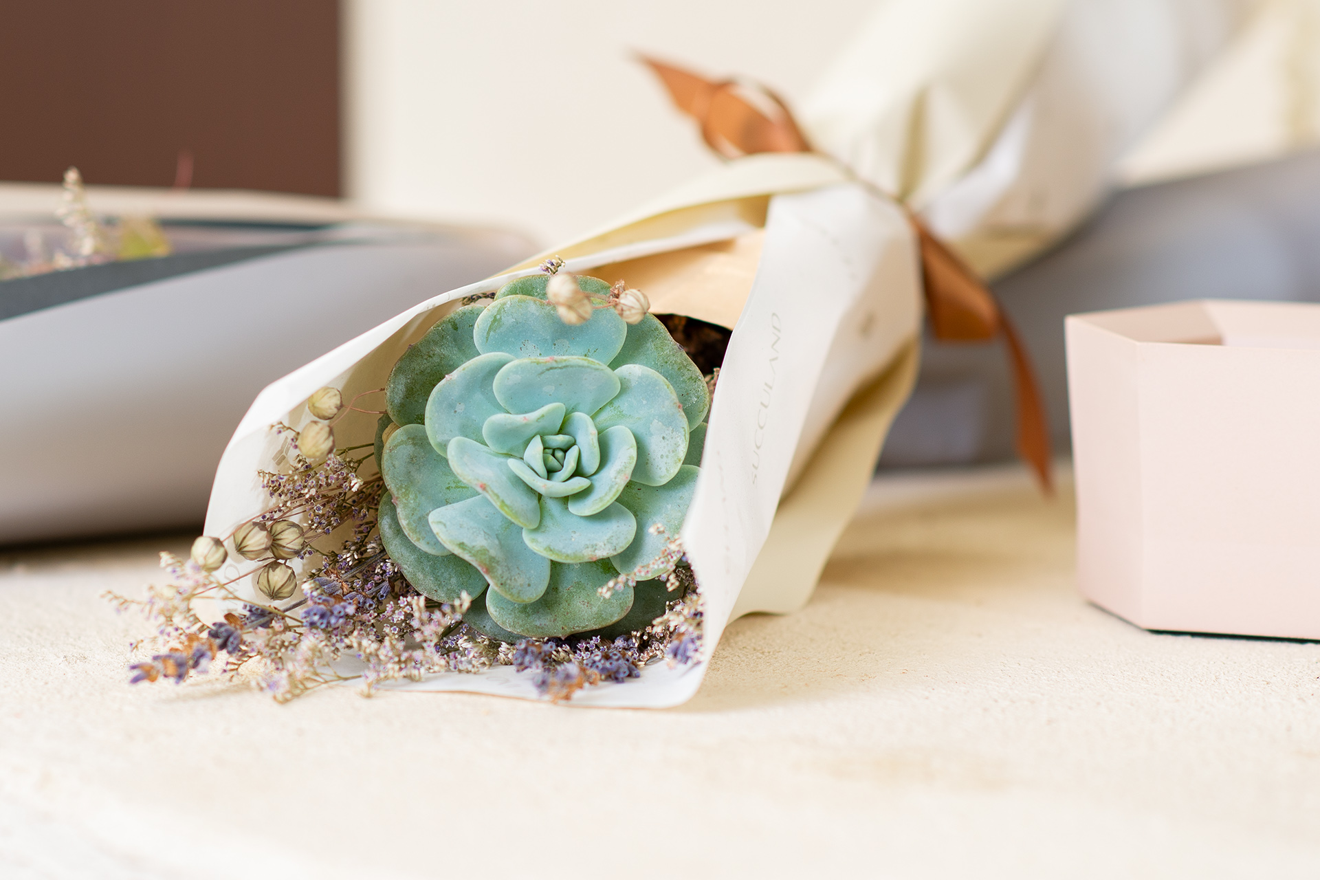 情人節期間限定!有肉店中店「沒有玫瑰的花店」 4 情人節期間限定!有肉店中店「沒有玫瑰的花店」 情人節花束 多肉花束_台北花店 全台配送8