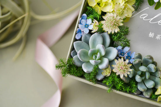2024 七夕情人節送多肉花禮盒,療癒陪伴一整年 1 2024 七夕情人節送多肉花禮盒,療癒陪伴一整年 情人節課程體驗 32