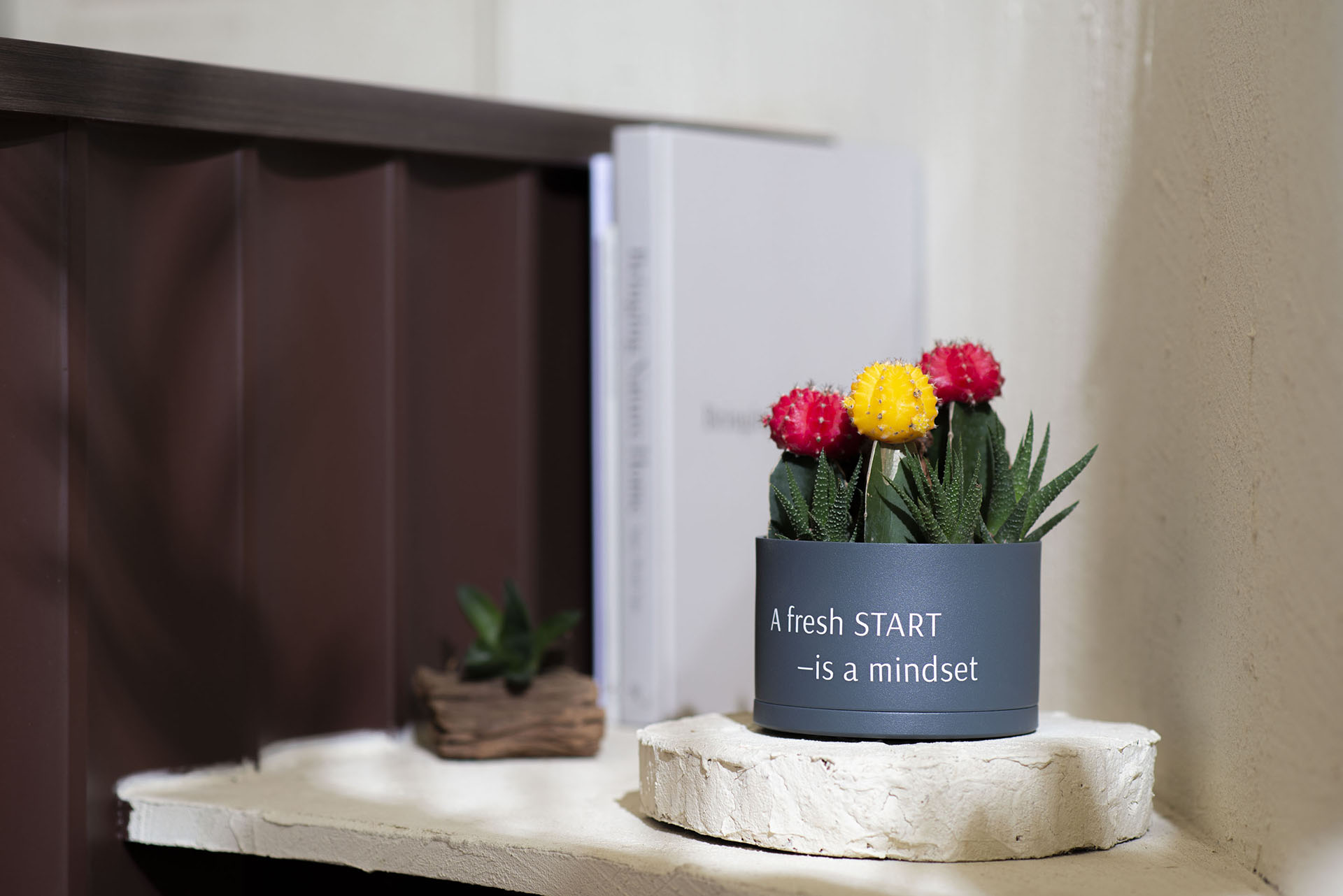 朋友生日禮物送什麼? 珍貴的心意 以植為禮 7 新開始的生日禮物