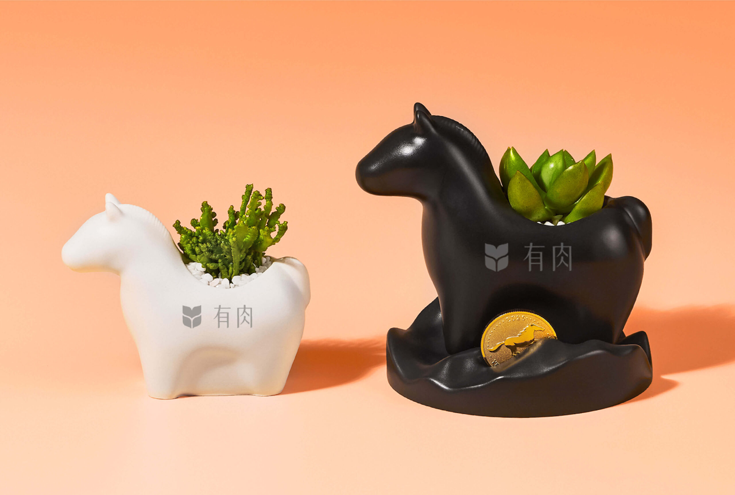 2026 企業春節禮盒推薦｜快樂馬力植栽 x 詩特莉餅乾｜有肉 SUCCULAND 客製化禮品 換圖 1 scaled