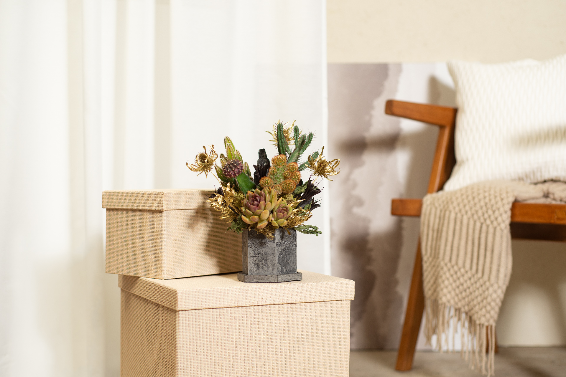 朋友生日禮物送什麼? 珍貴的心意 以植為禮 12 家飾品盆栽推薦