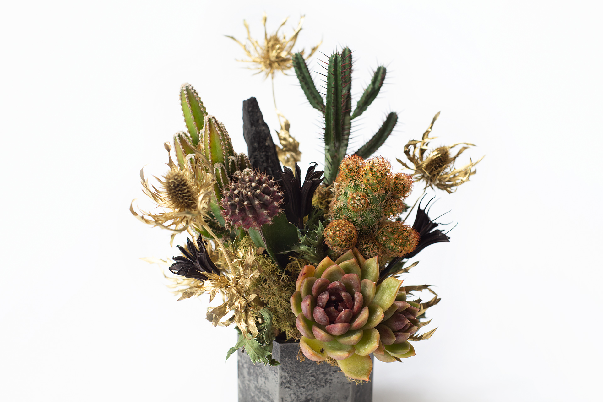 朋友生日禮物送什麼? 珍貴的心意 以植為禮 13 多肉盆栽設計2023