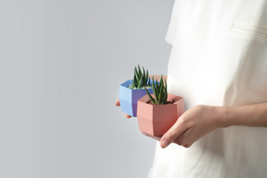 40+ 句換新工作的祝福語(成語 聖經金句 佛家語錄 英文 日文) 12 鳳梨旺旺禮物