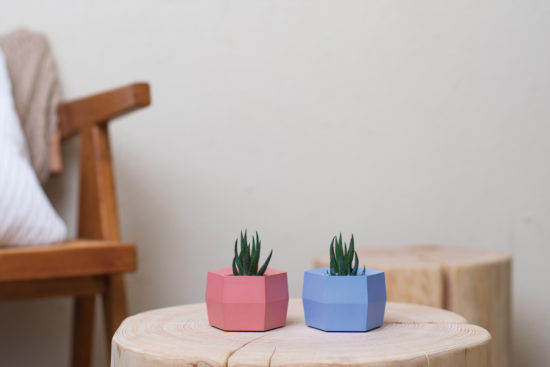 40+ 句換新工作的祝福語(成語 聖經金句 佛家語錄 英文 日文) 11 鳳梨造型盆栽