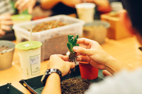 室內療癒活動 室內療癒活動