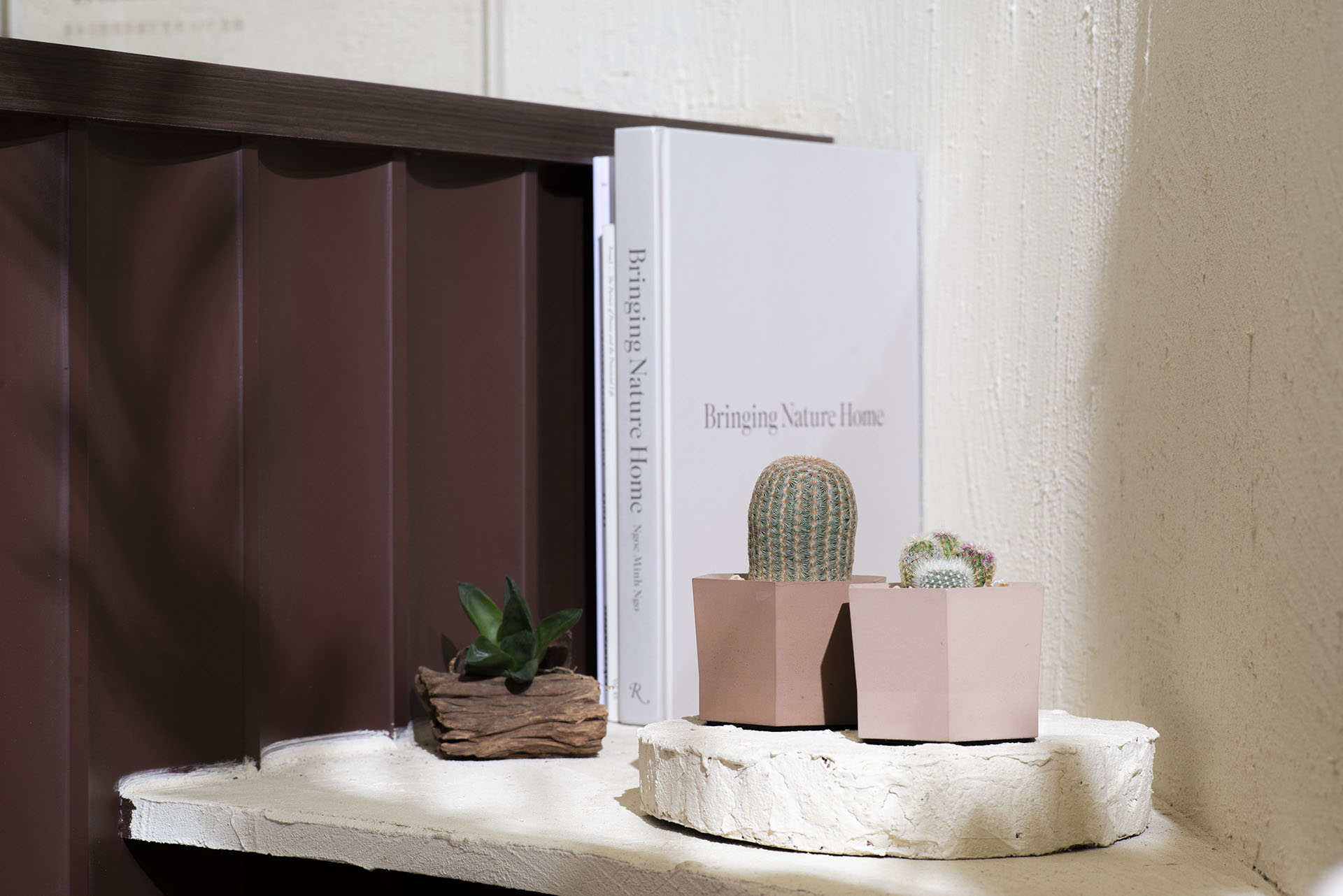 室內小盆栽推薦:低維護度植物讓你更輕鬆 10 室內小盆栽幾何造型