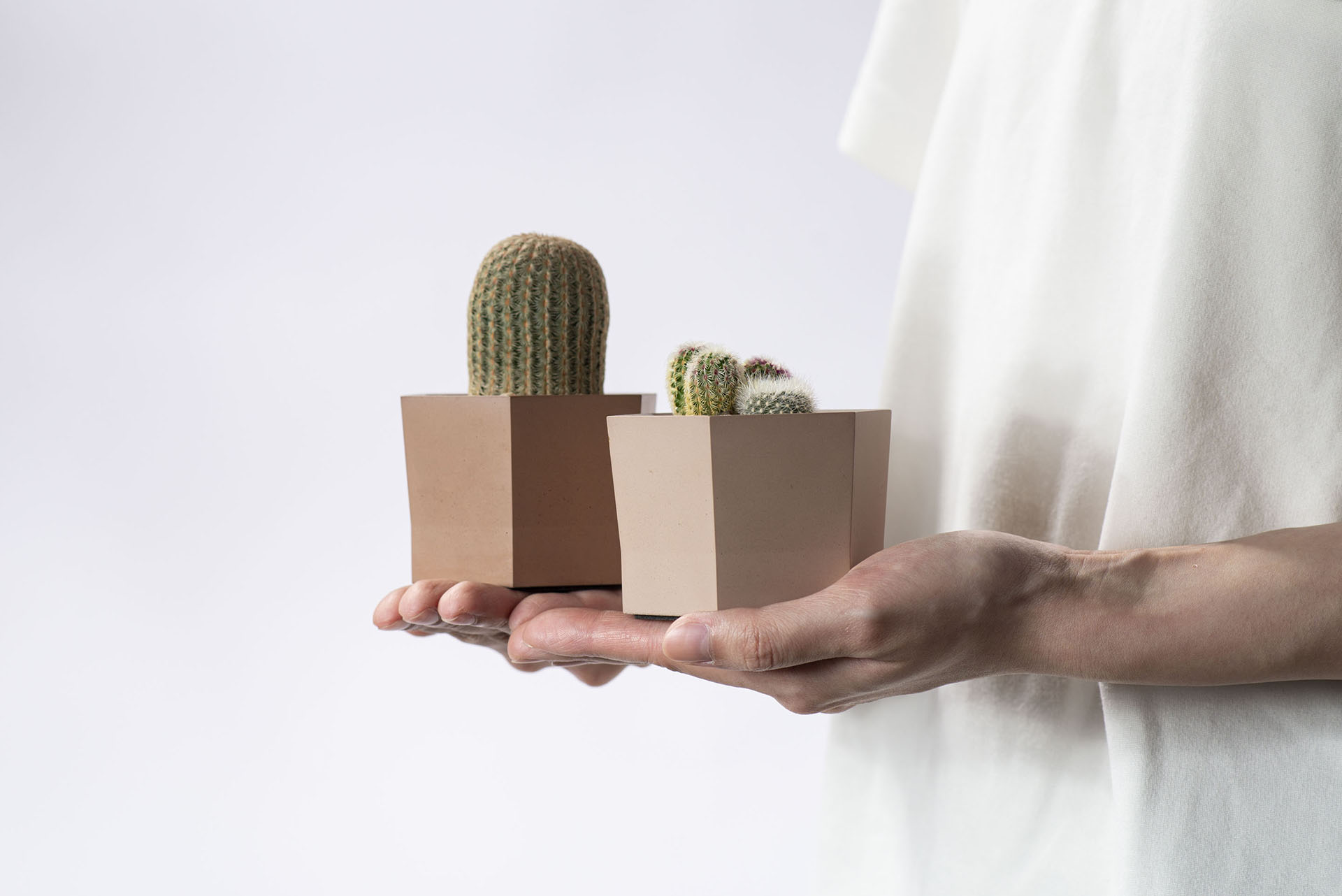 室內小盆栽推薦:低維護度植物讓你更輕鬆 9 室內奶茶色盆栽