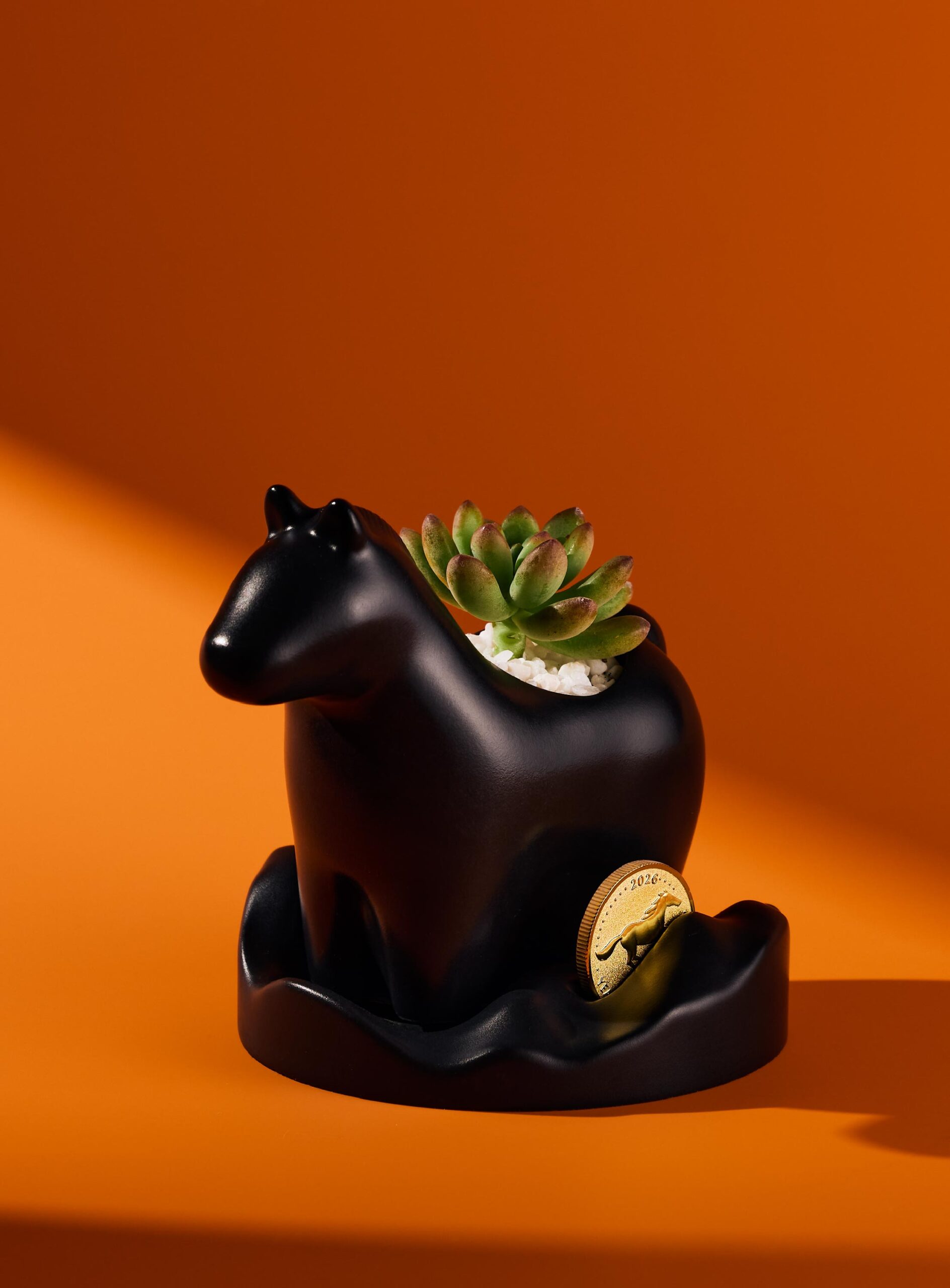 寫給植物新手的種植指南 照顧好多肉植栽禮 3 寫給植物新手的種植指南 照顧好多肉植栽禮 有肉年節禮盒 平面製作1 新聞稿 配圖5 scaled