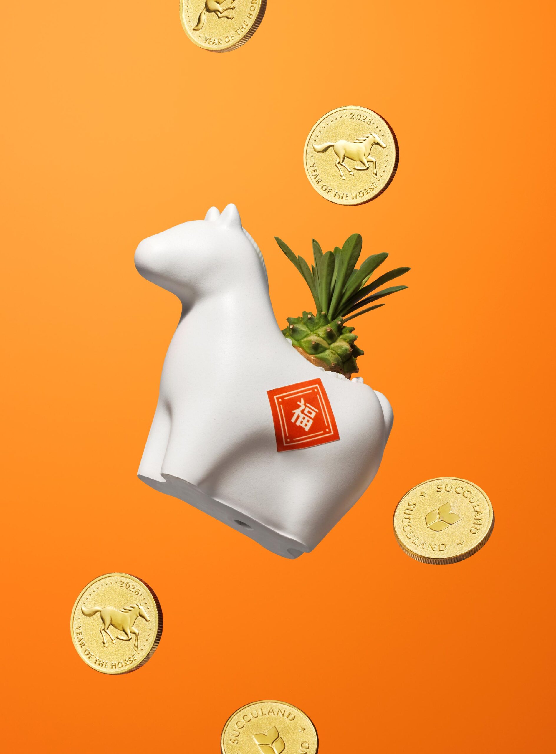 寫給植物新手的種植指南 照顧好多肉植栽禮 4 寫給植物新手的種植指南 照顧好多肉植栽禮 有肉年節禮盒 平面製作1 新聞稿 配圖6 scaled