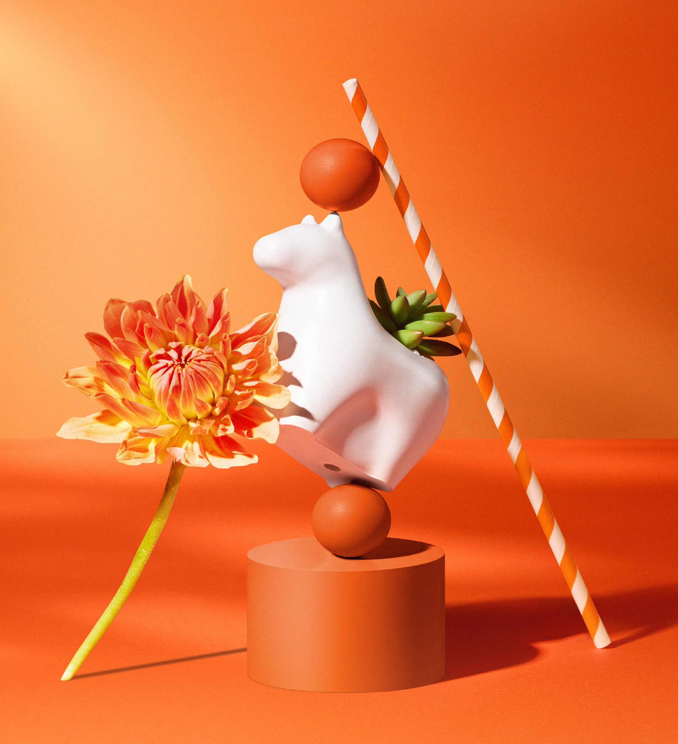 寫給植物新手的種植指南 照顧好多肉植栽禮 1 寫給植物新手的種植指南 照顧好多肉植栽禮 有肉年節禮盒 平面製作1 新聞稿 配圖9 scaled