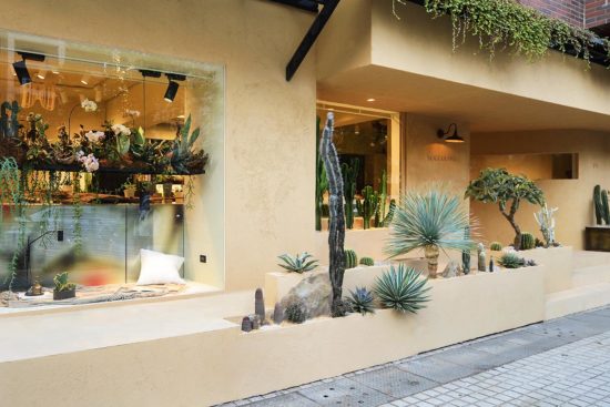 全日照?半日照?教你搞懂植物的需要! 15 全日照?半日照?教你搞懂植物的需要! 有肉新門市外觀照2 1280