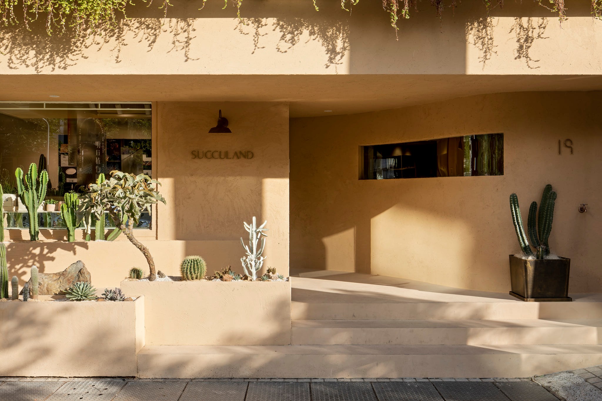 多肉植物店 多肉植物店